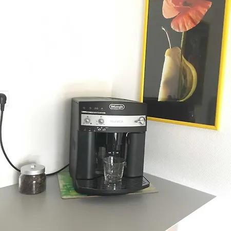 Kopf Apartmán Schuttertal